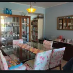 Bela Vista